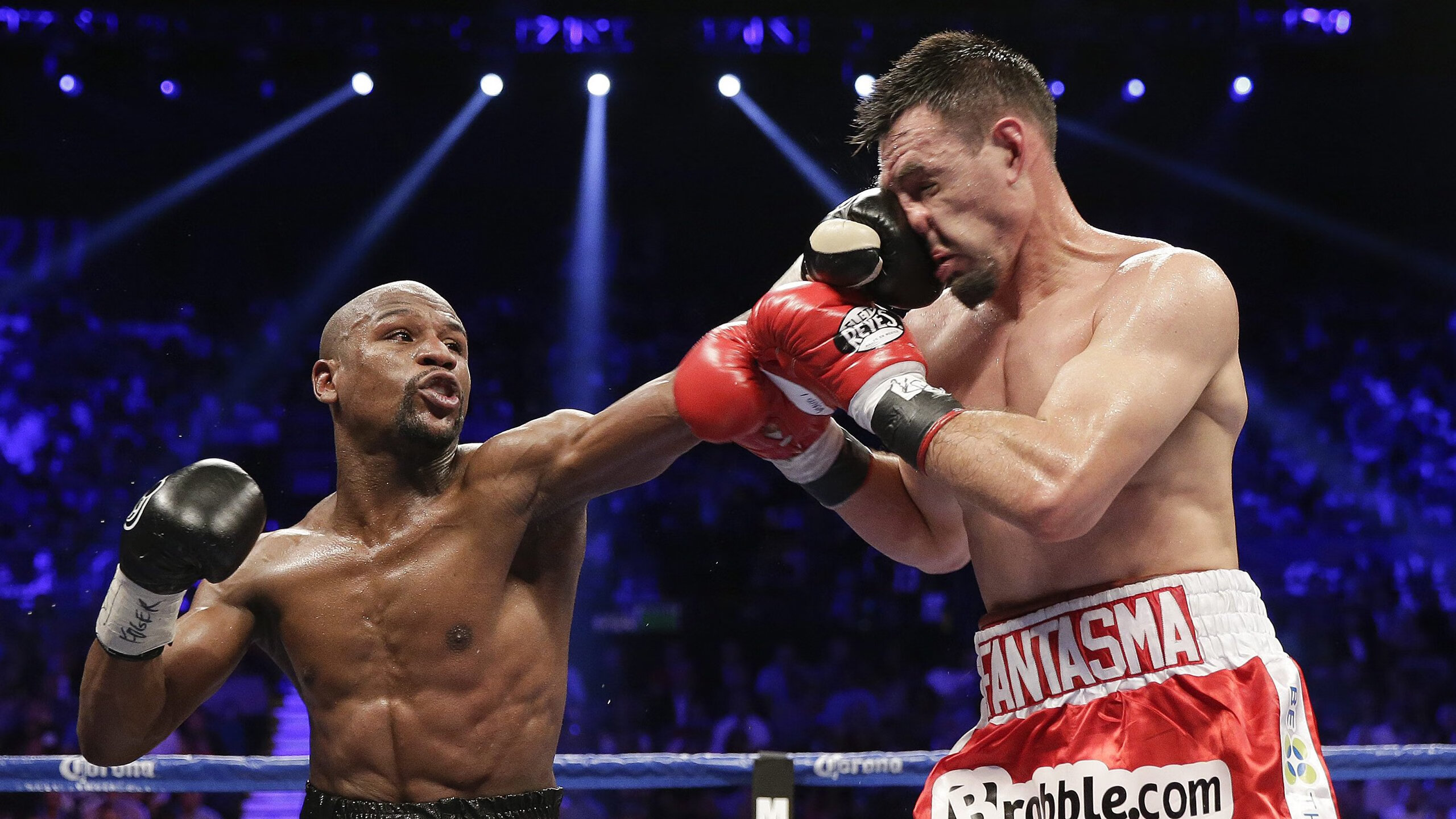 CPH Wolves 宣布以欧洲阵容重返 CS_GO 赛场,欧洲csgo比赛