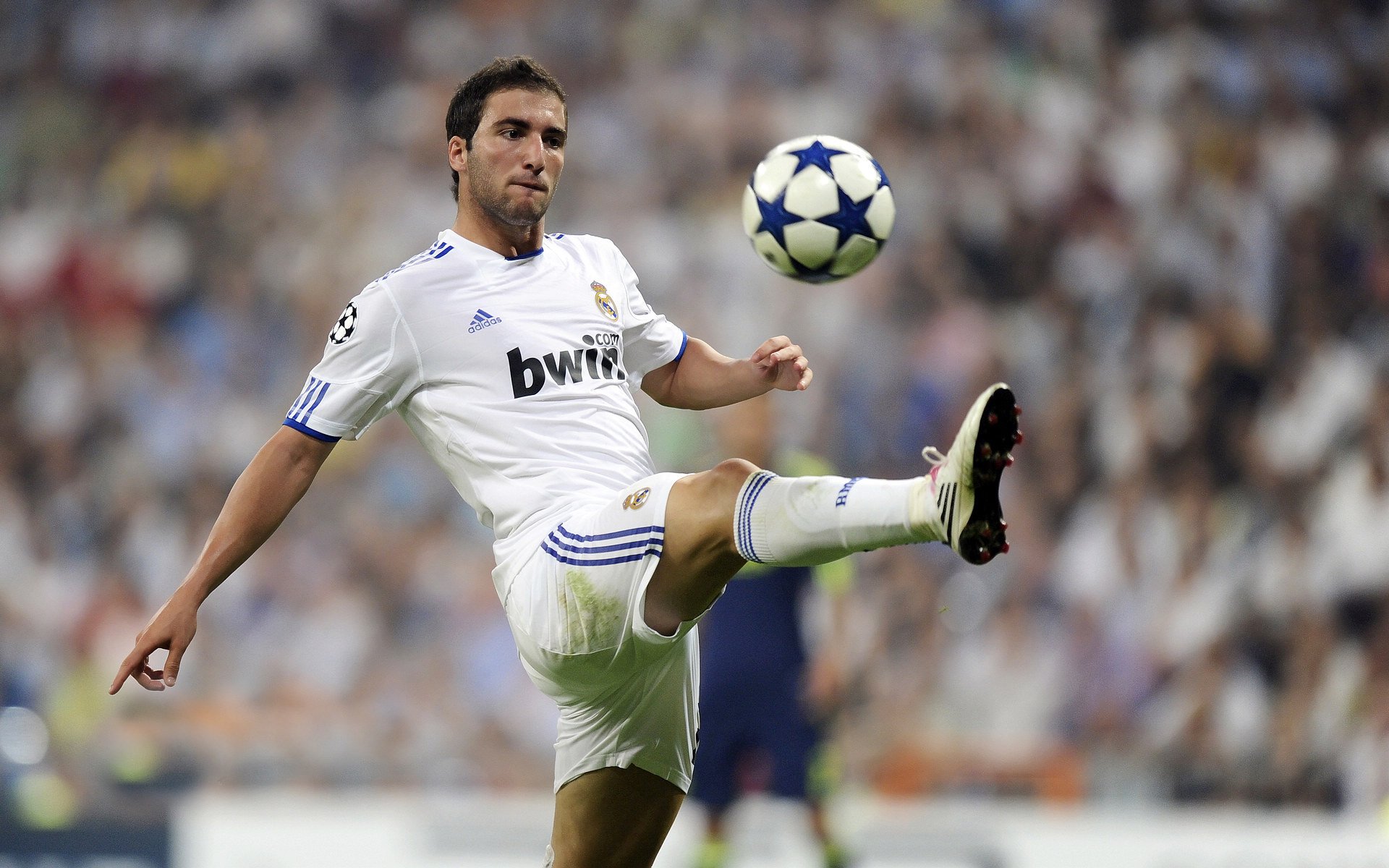 无懈可击的胜利之路，豪取多场高分胜利，胜利无望是什么意思